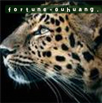 吴刚